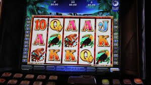 Discover the Thrill of Online Casino Australia Discover the Thrill of Online Casino Australia